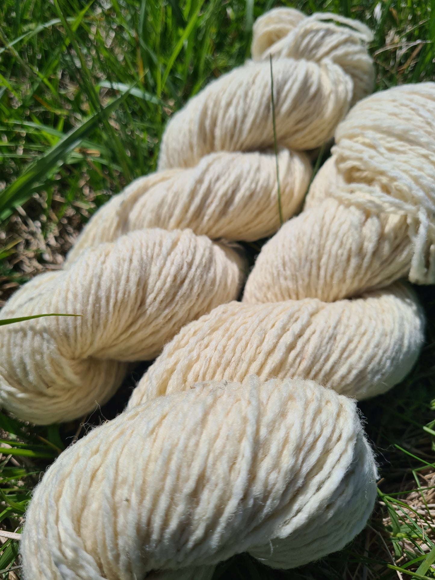 Wiesenwolle DK, rohweiß